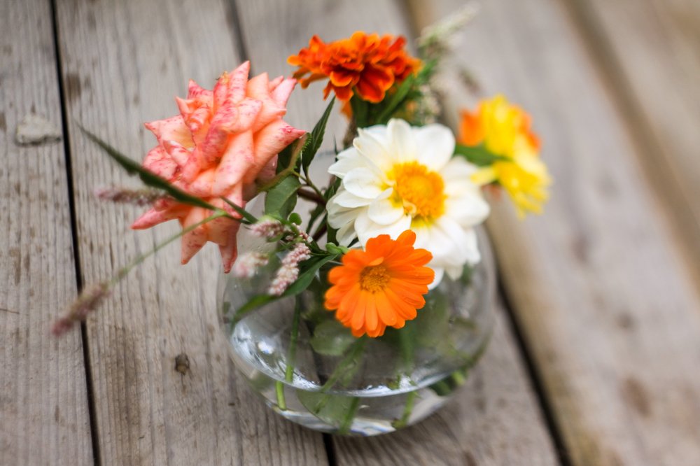 Photograph by Жанна Цветкова