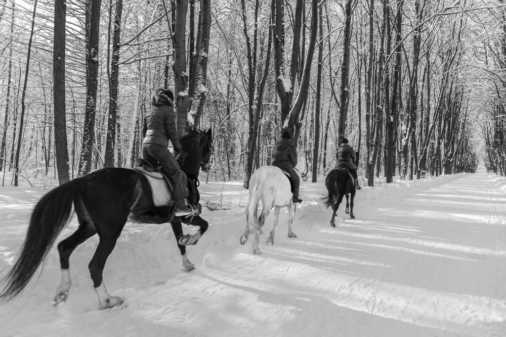 Фотография автора Анастасия Мазурева
