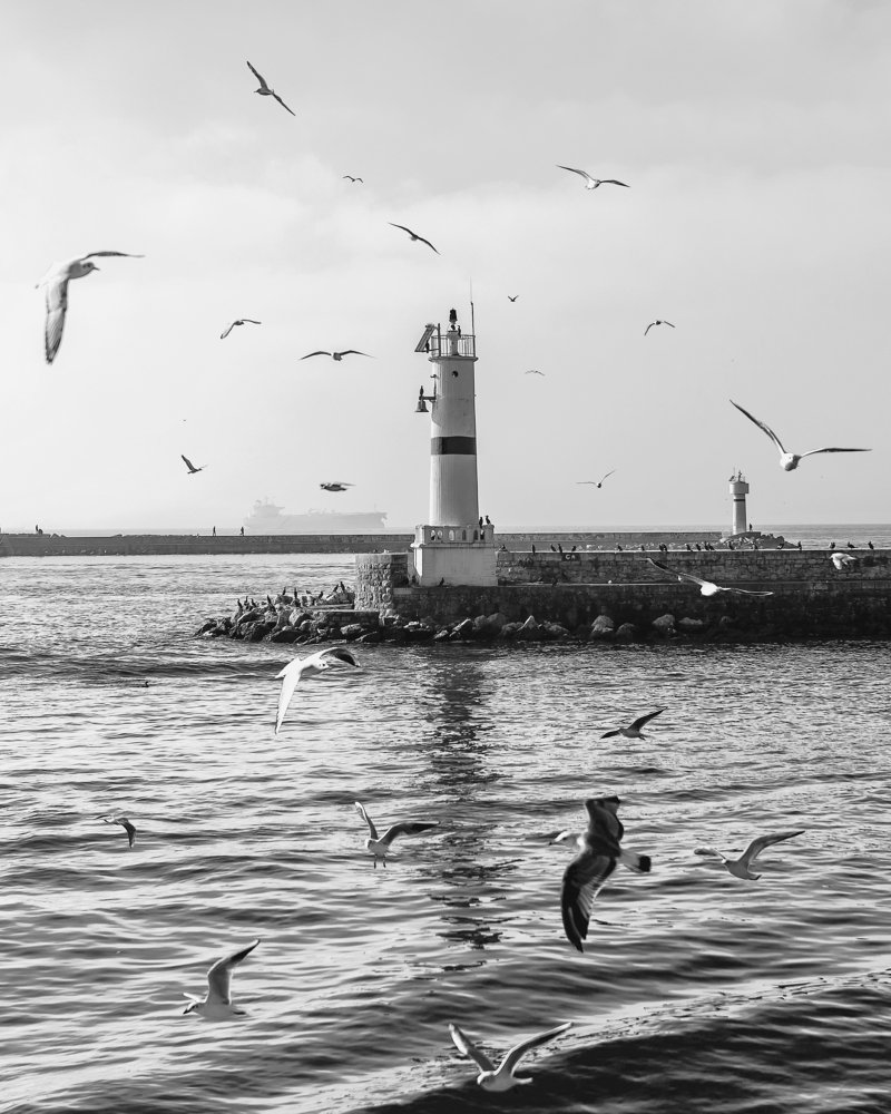 Фотография автора Анастасия Мазурева