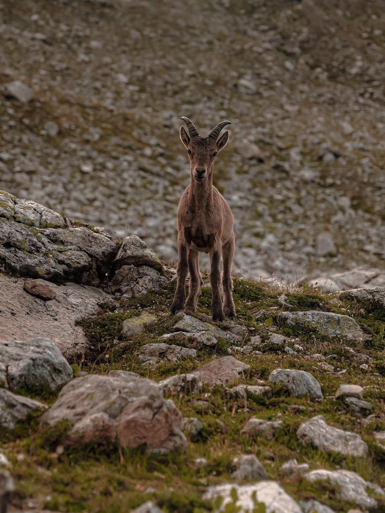 Photograph by Владимир Кульбит