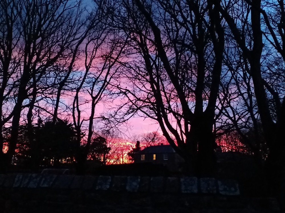 Photo #4870784