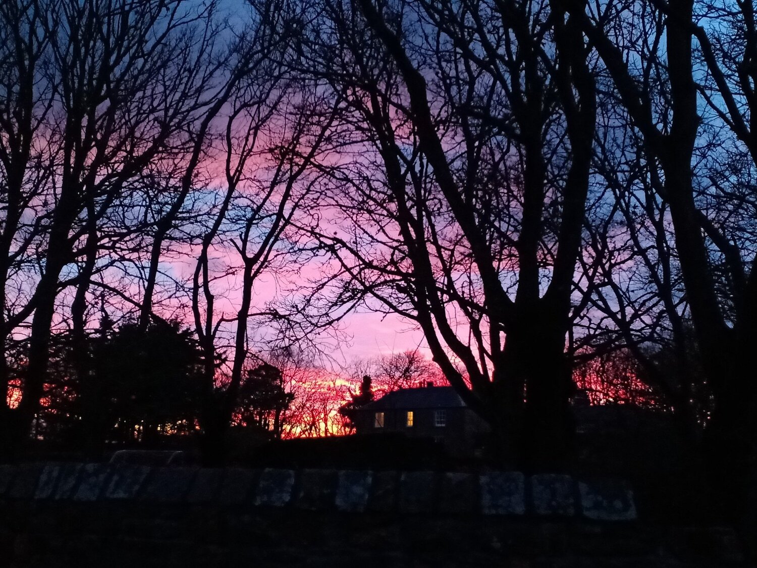 Photo #4870784