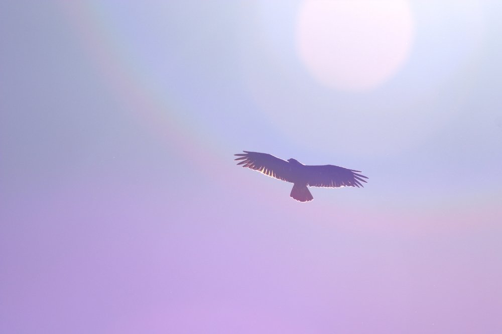 Photograph by Анатолий Орлов