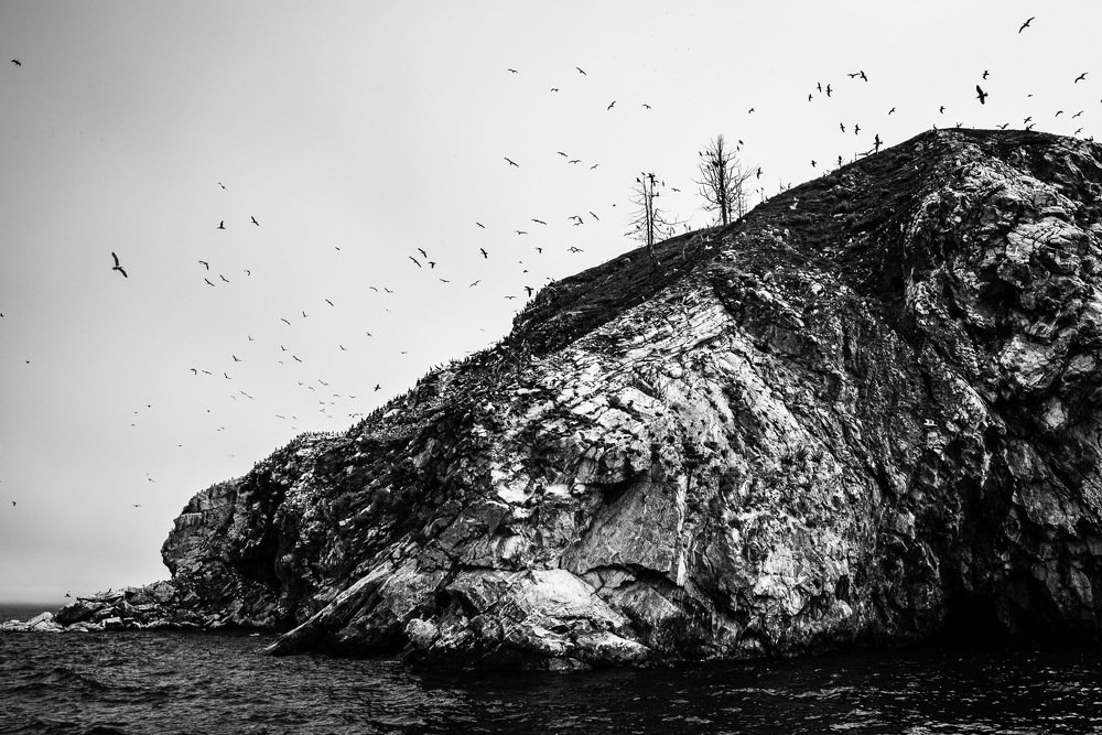 Photograph by Галина Баранова
