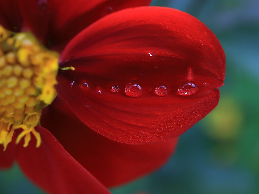 Photograph by Виктория Кузина