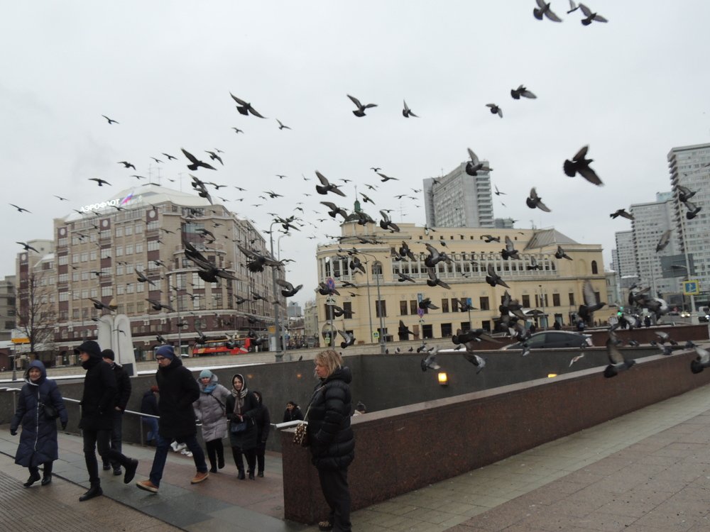 Московский Арбат