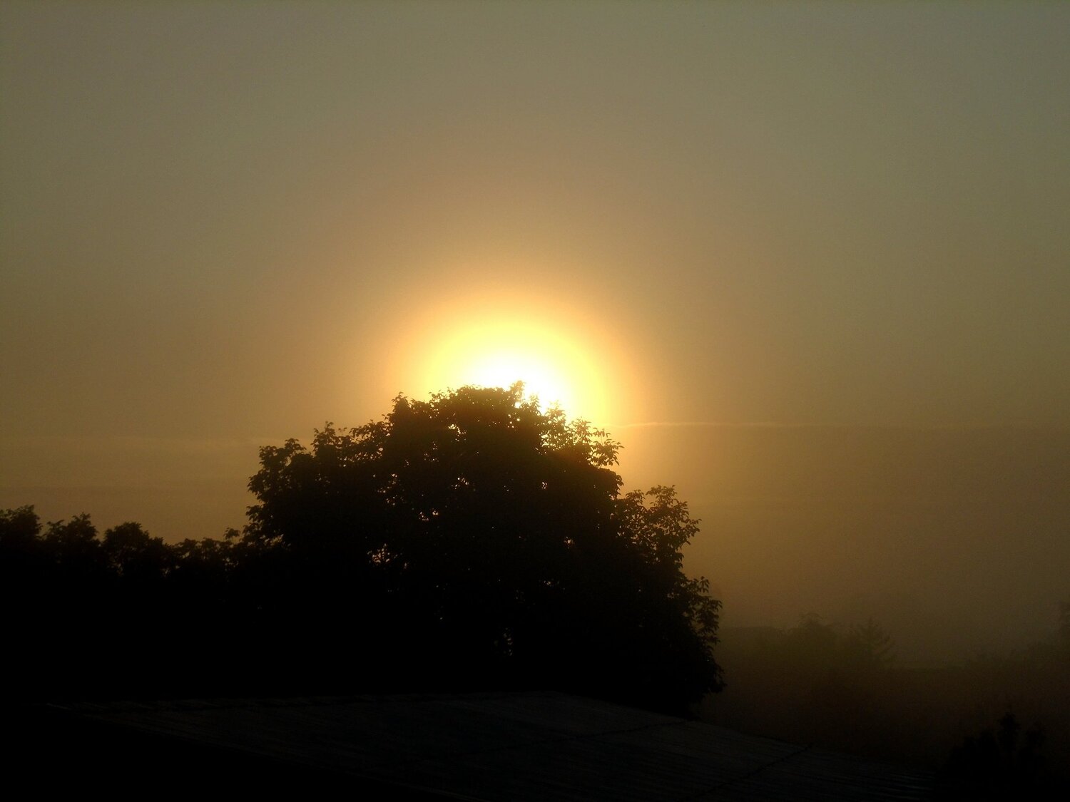 Photo #4870886