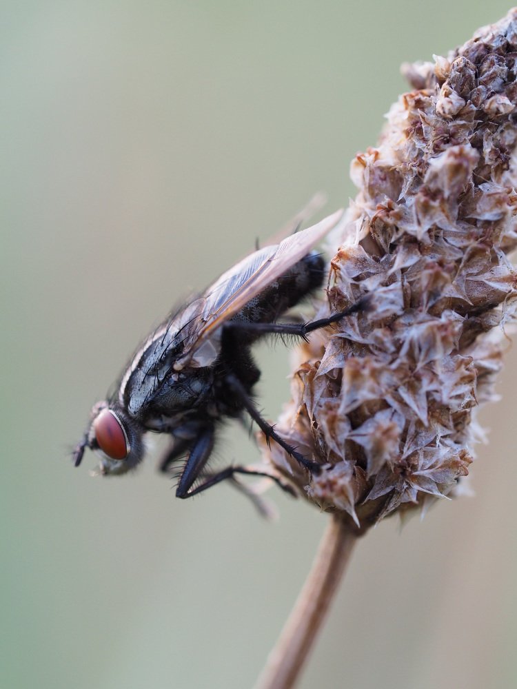 Photograph by Юлия Кравченко