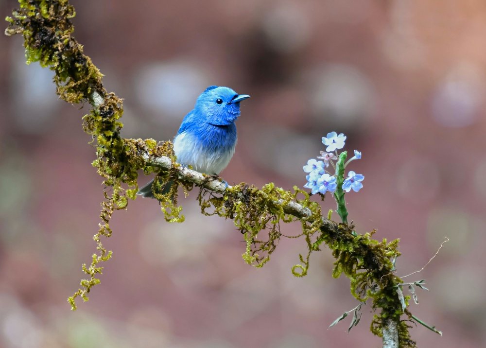 Waiting for love ❤