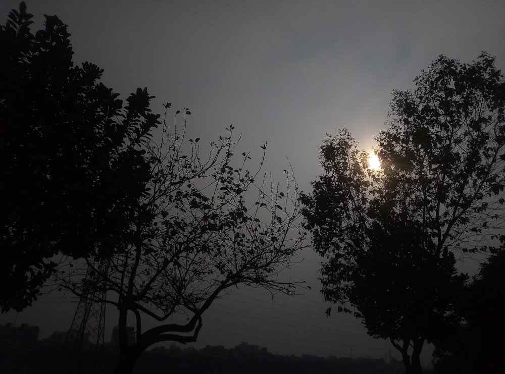 Beautiful Moon can be seen in Dark only