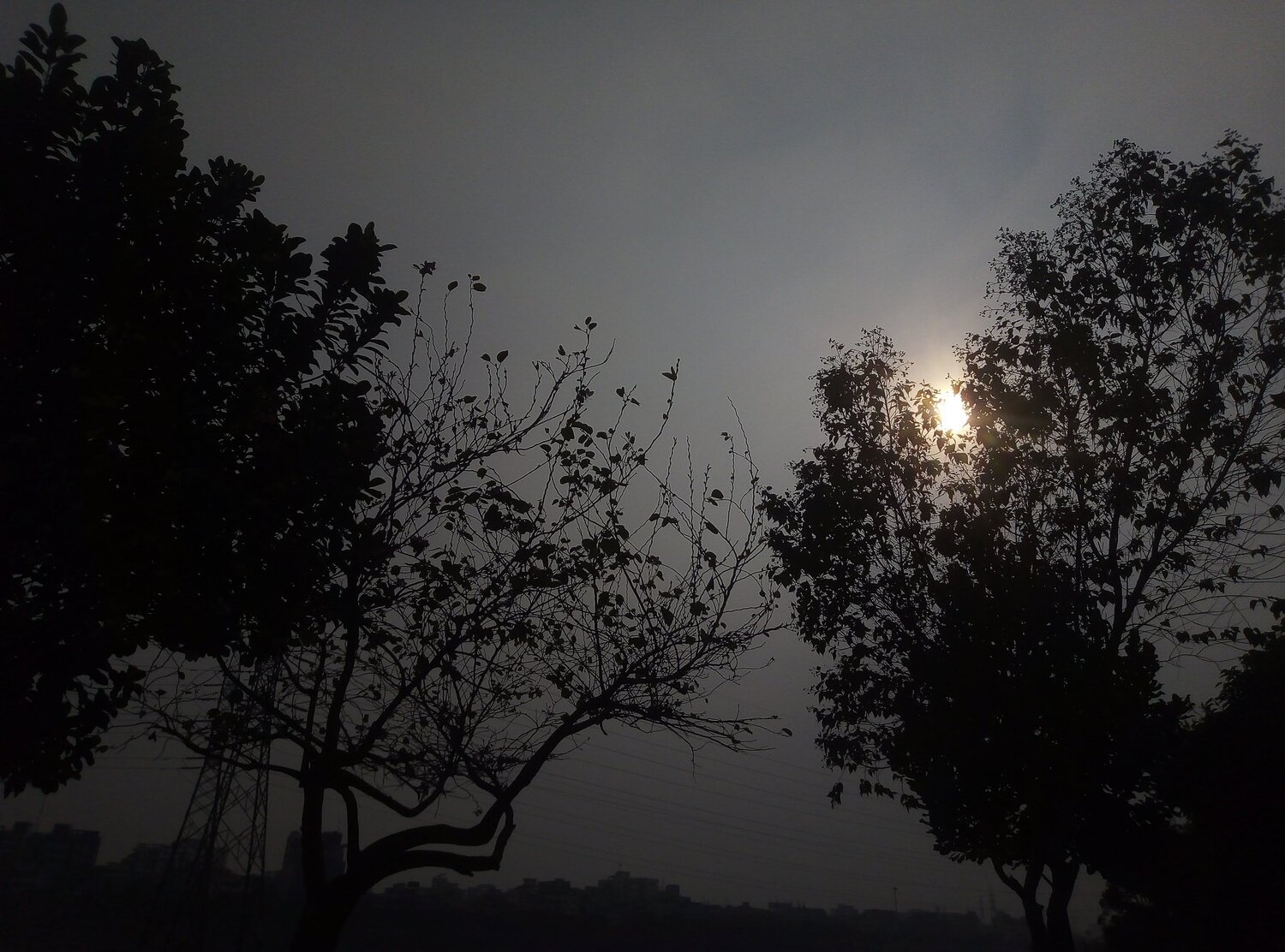 Beautiful Moon can be seen in Dark only