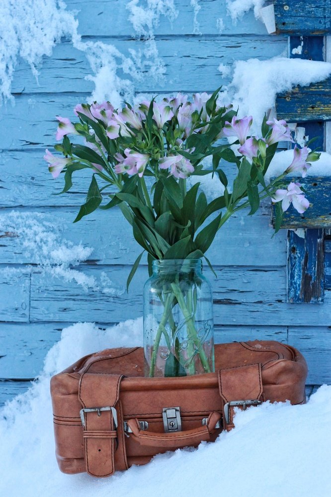 Photograph by Inna Kristiansen