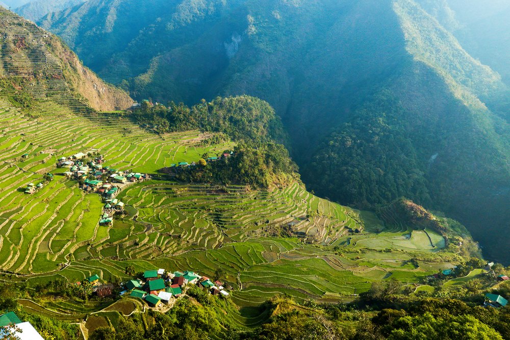 Photograph by Андрей Гривицкий