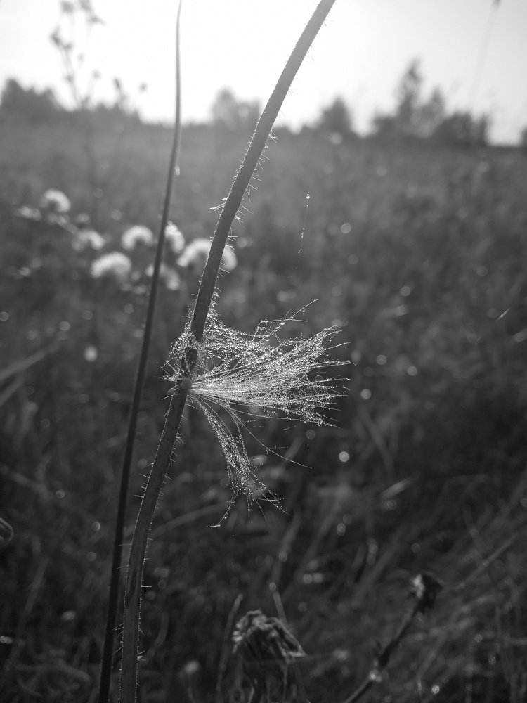 Задержался...