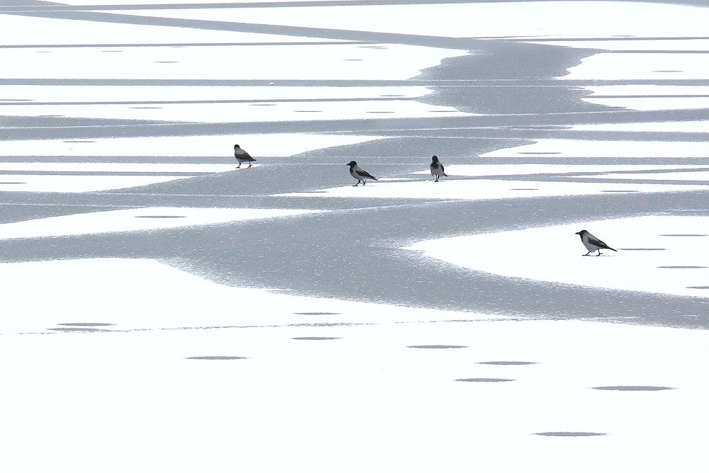 Photograph by Alexey Korolyov