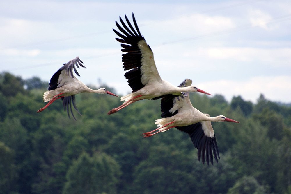 Photograph by Юрий Миронов