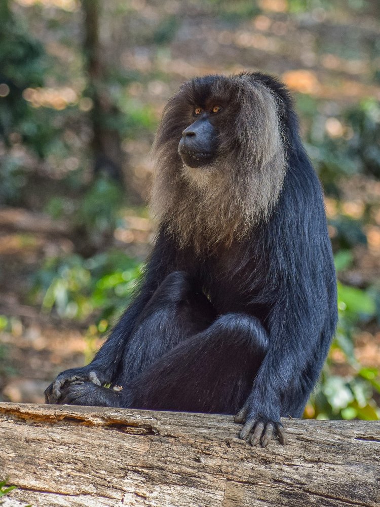 Photograph by PRABANJAN