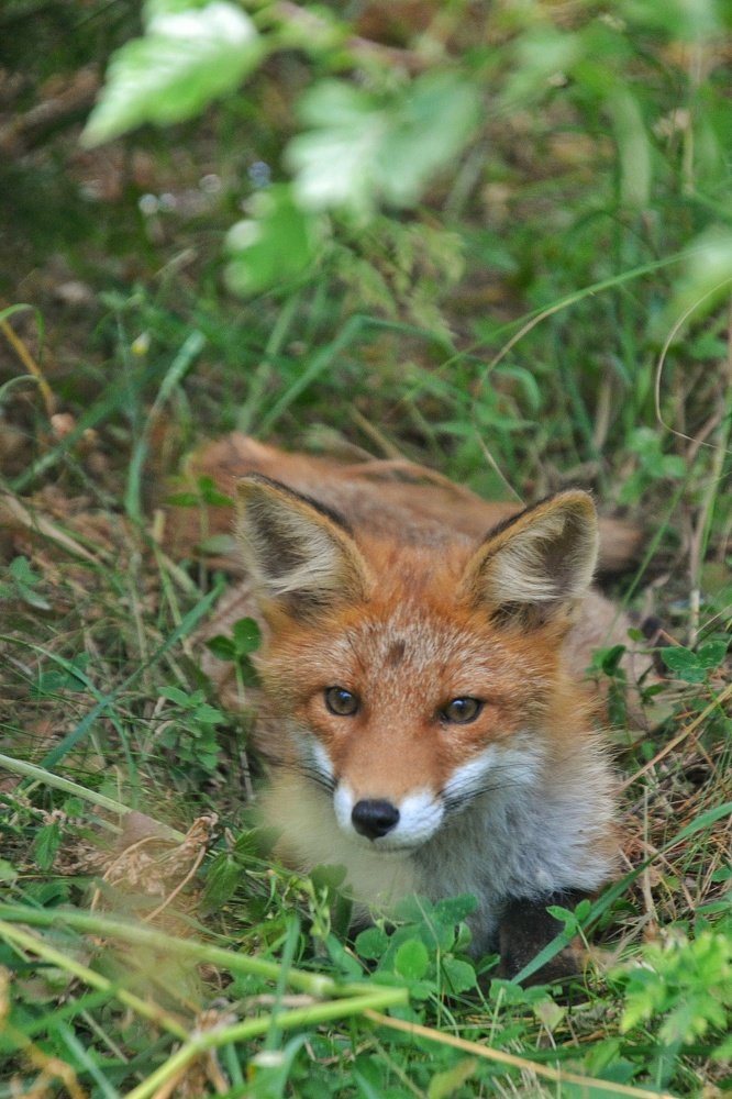 Photograph by Владимир Леликов-Кузьменко