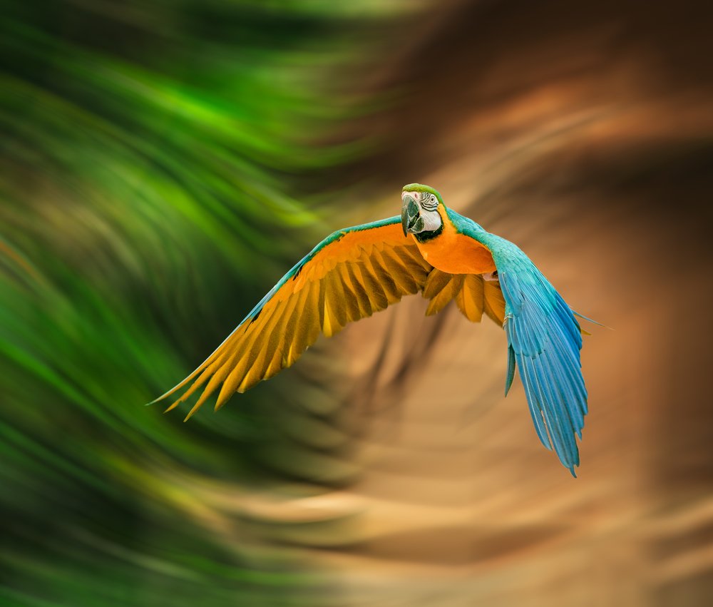 Photograph by Furqan Ali