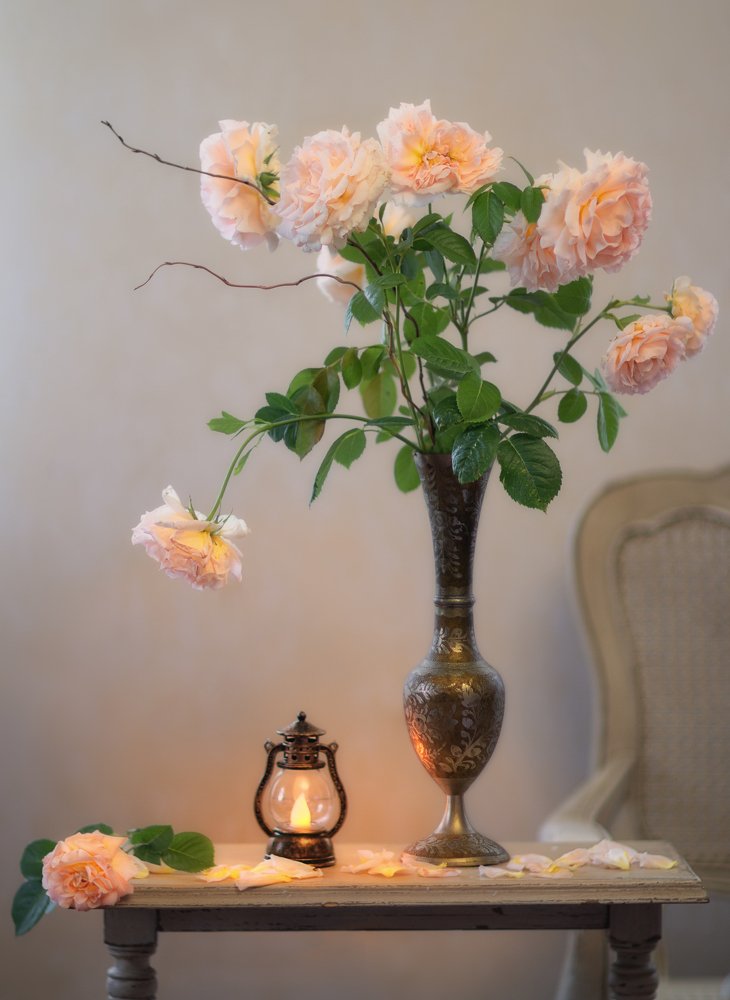 Photograph by Светлана Сагайдачная