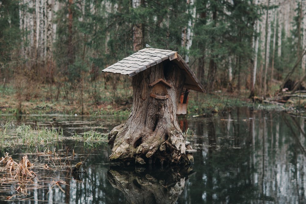 Photograph by Ольга Скоробогач