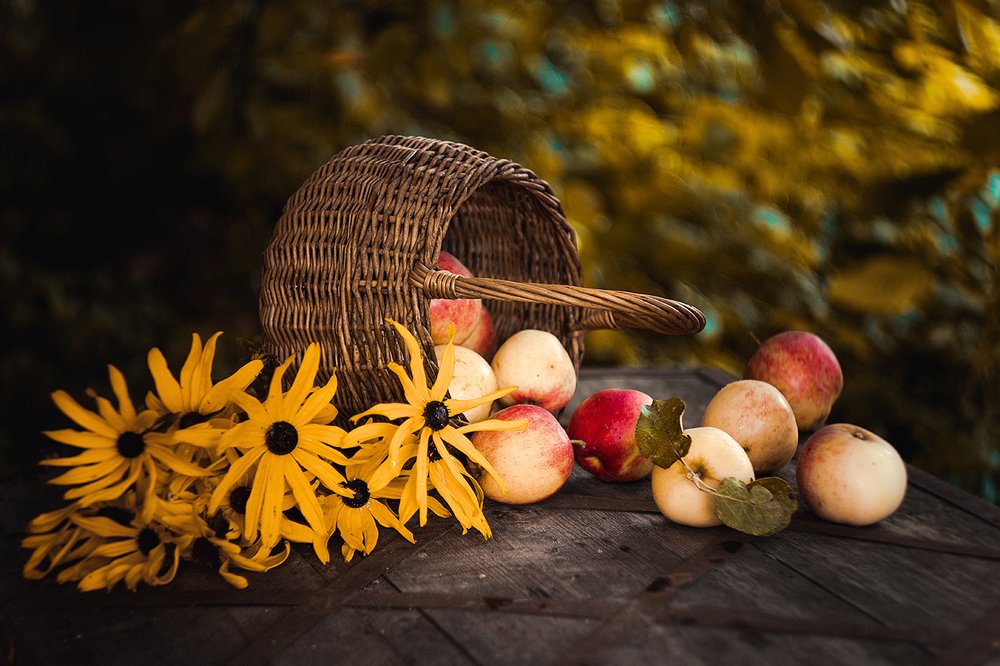 Фотография автора Мария Курицына