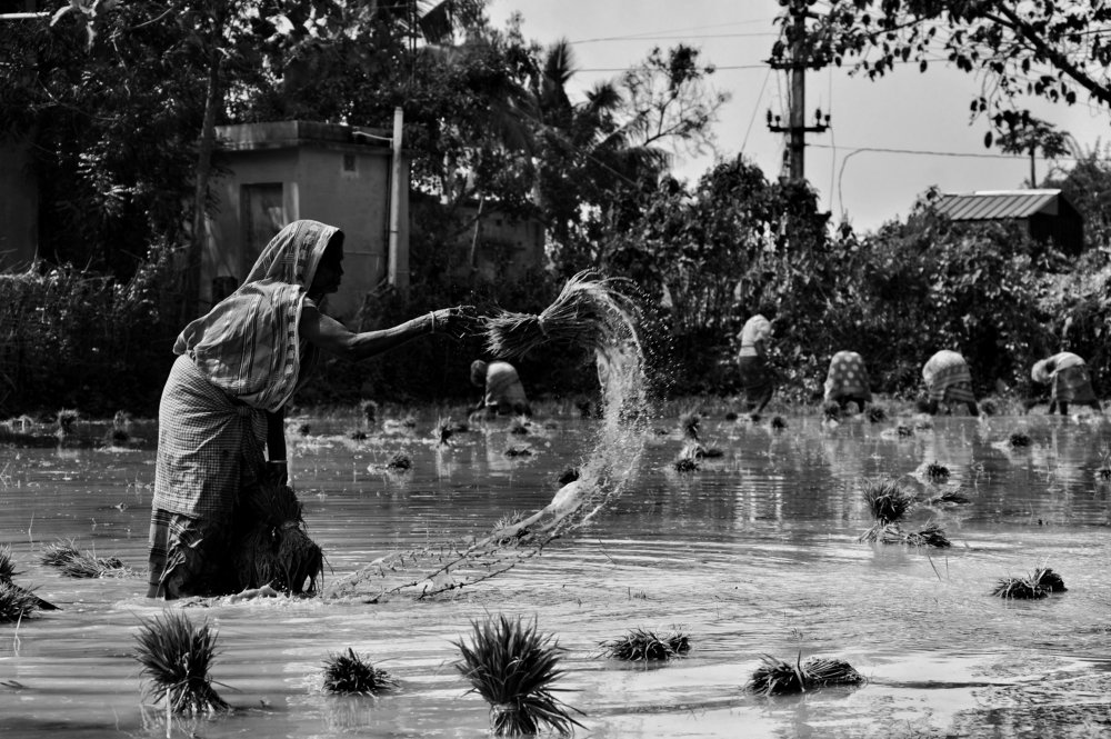 Photograph by Chittaranjan Nayak