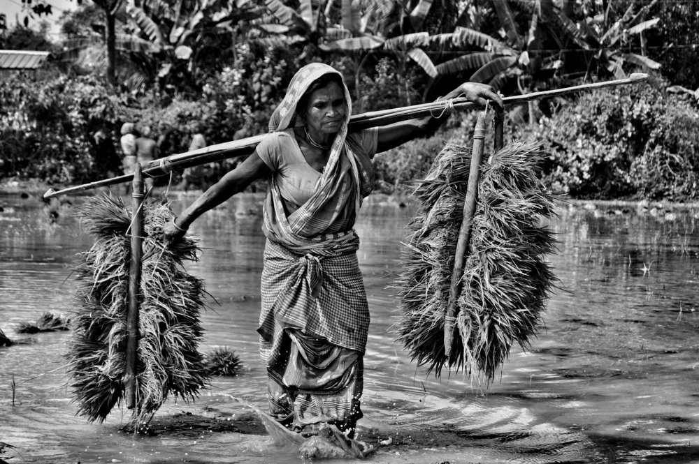 Photograph by Chittaranjan Nayak