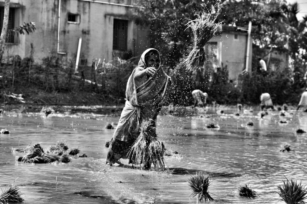 Photograph by Chittaranjan Nayak