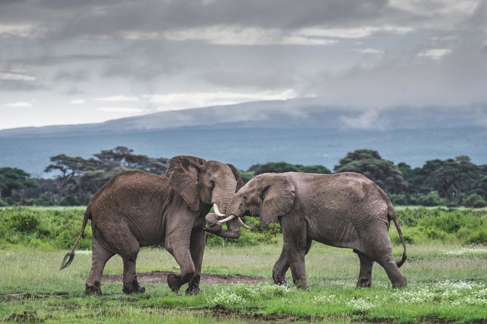 Photograph by Дмитрий Николаев