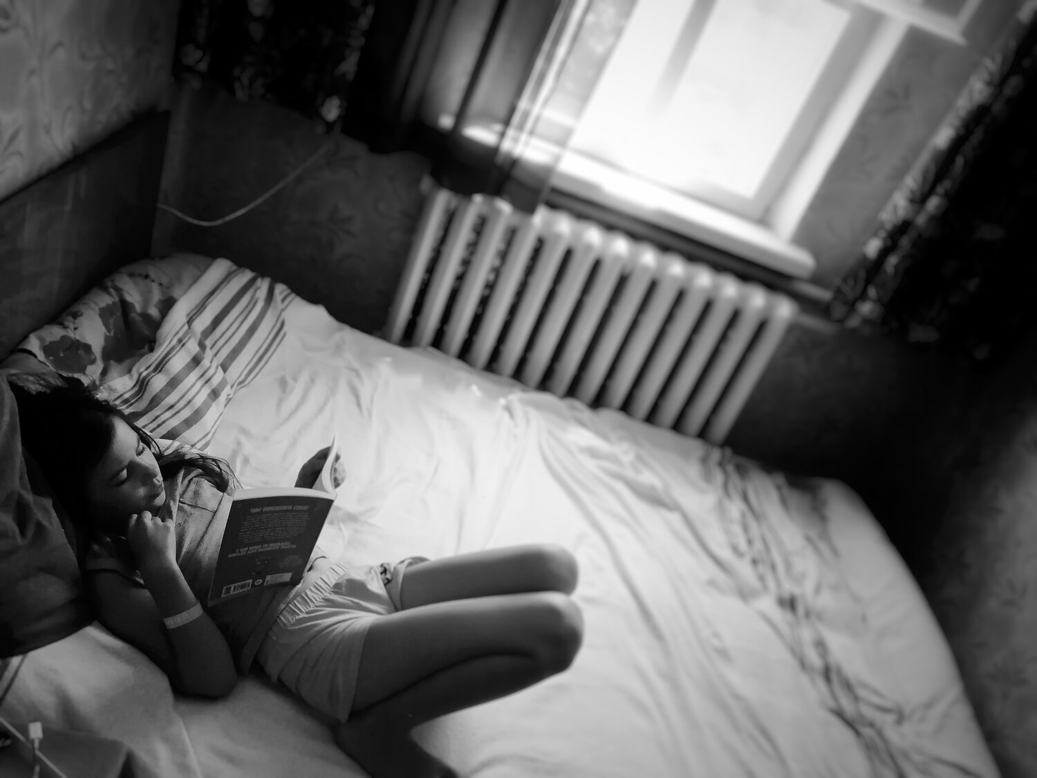 Photo #4871556