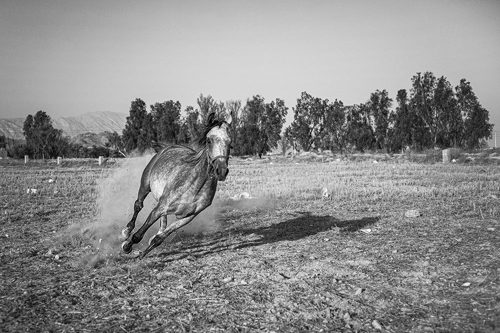 Фотография автора Ebrahim Rahiminezhad