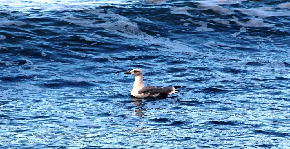 Photograph by Александр Бугаенко