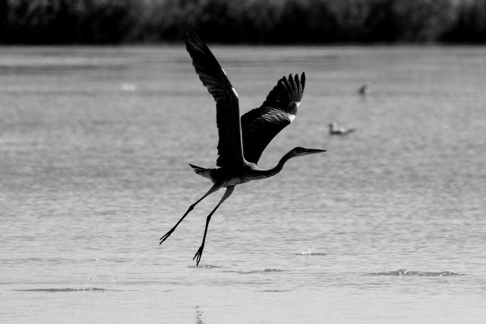 Танец на воде