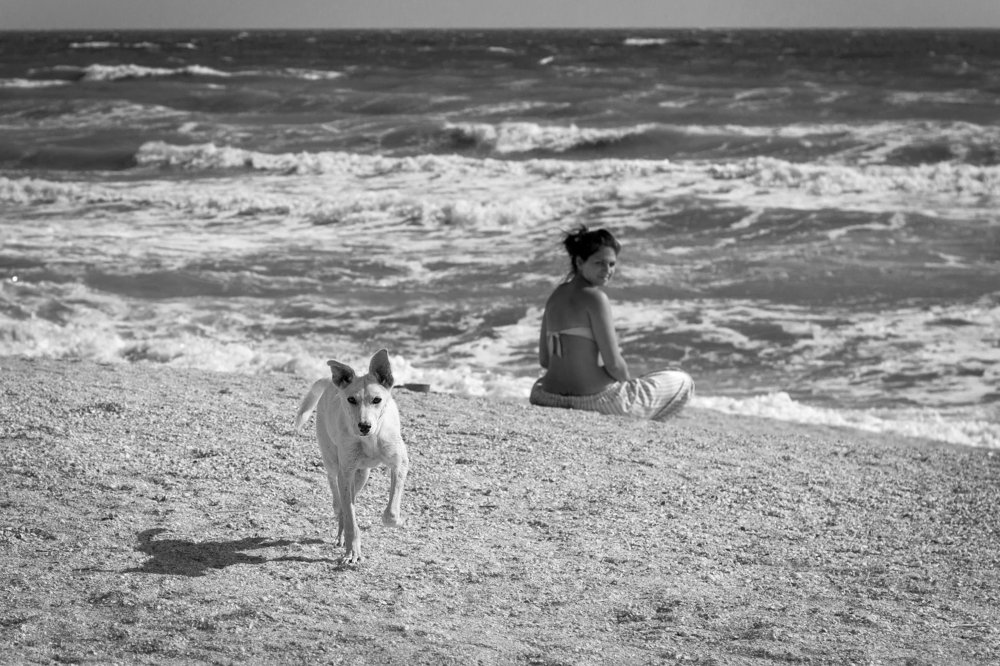 Photograph by Вероника Мищенко