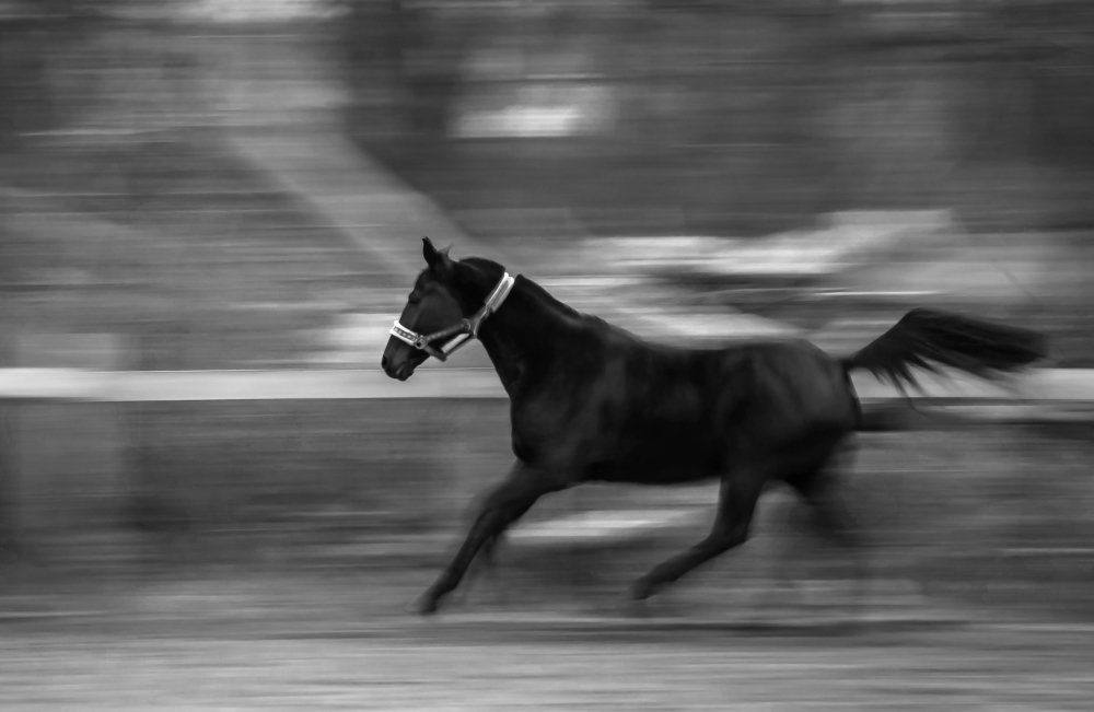 Photograph by Вероника Мищенко