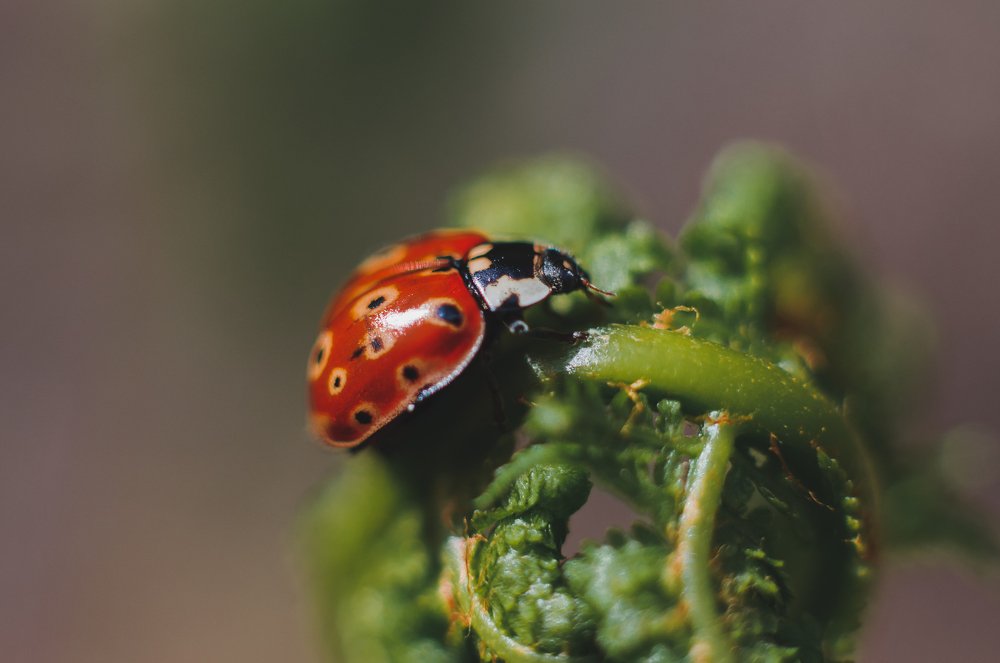 Photograph by Дмитрий Шадрин