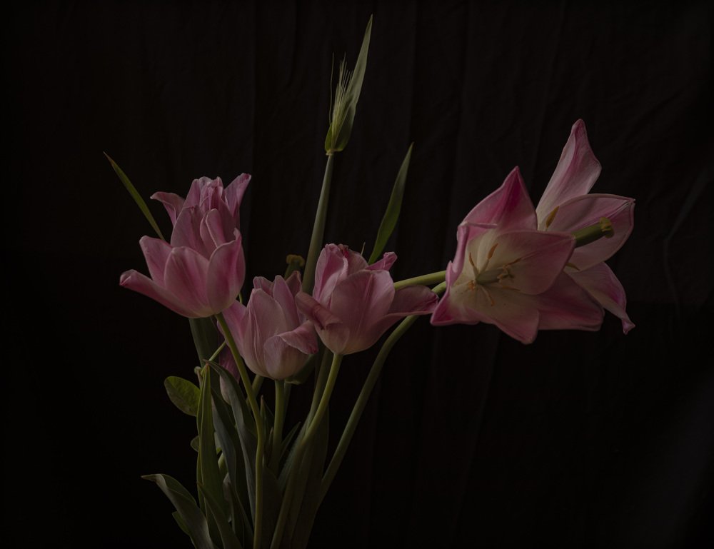 Photograph by ahmet erkan yavuzcan