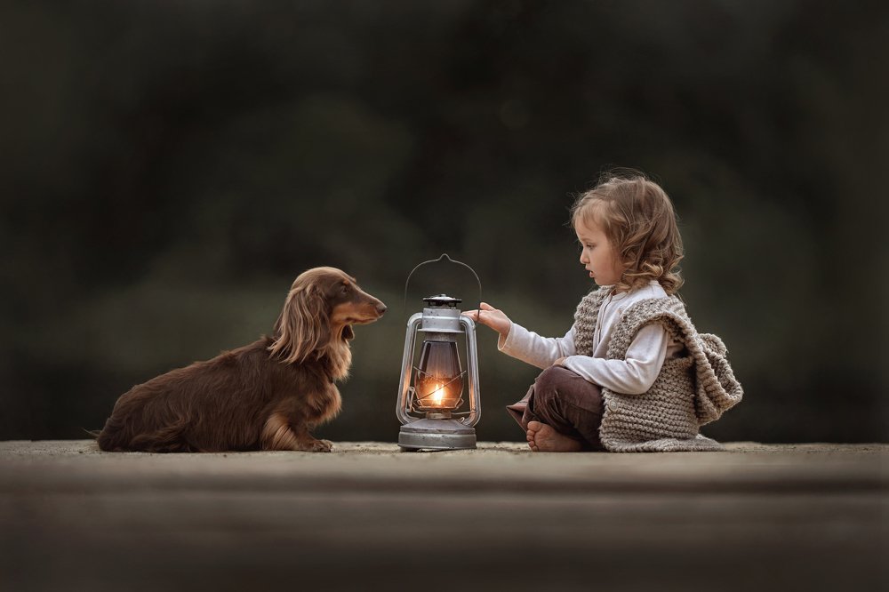 Photograph by Дарья Базарнова