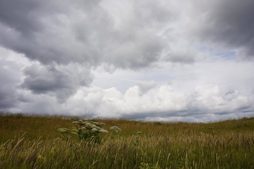 Photograph by Юлия Ганюшина