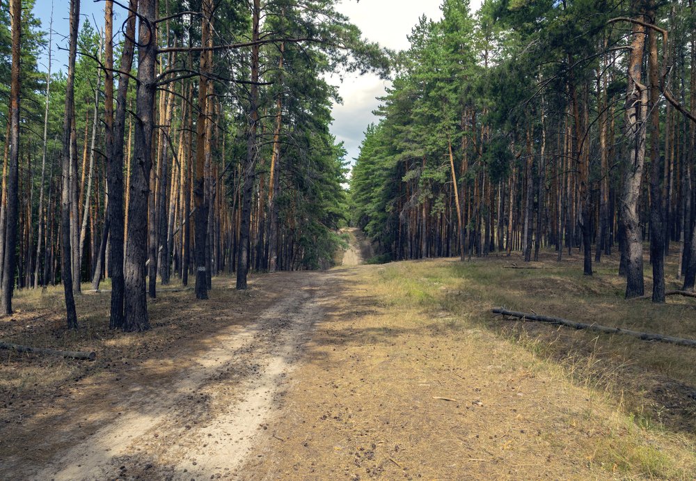 Photograph by Андрей Ляпин