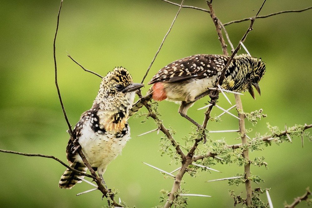 Photograph by Дмитрий Николаев