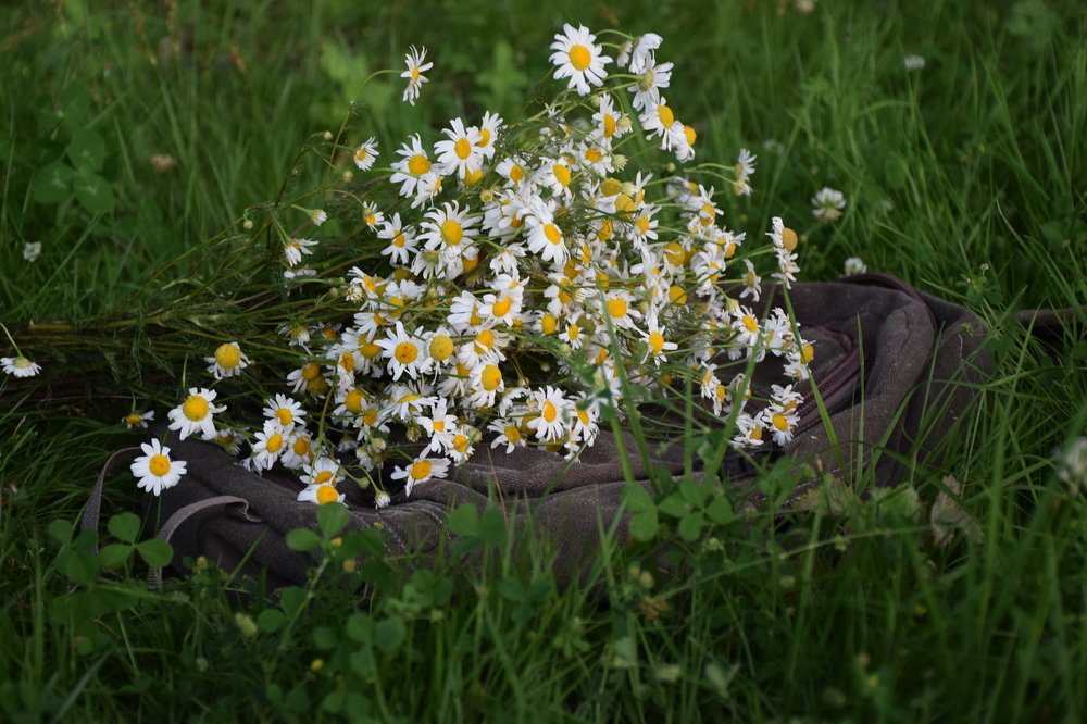 Photograph by Татьяна Дорожко