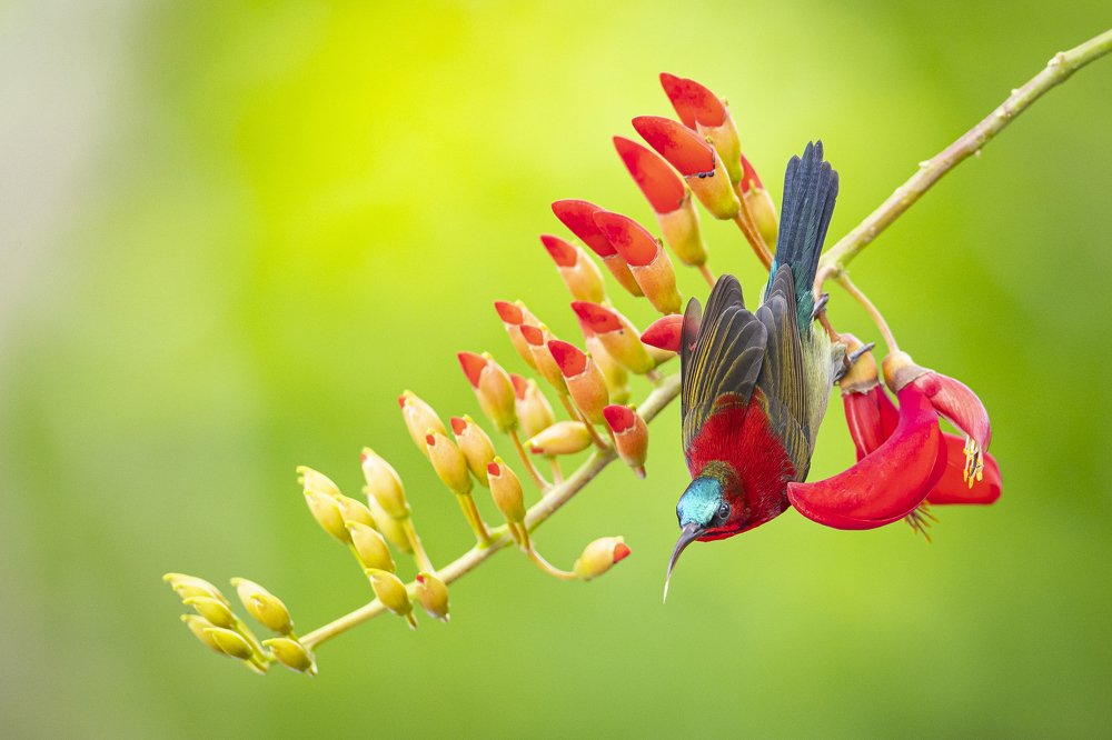 Photograph by Rin Võ