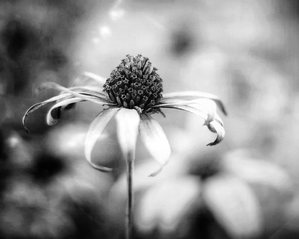 Photograph by Игорь Маслов