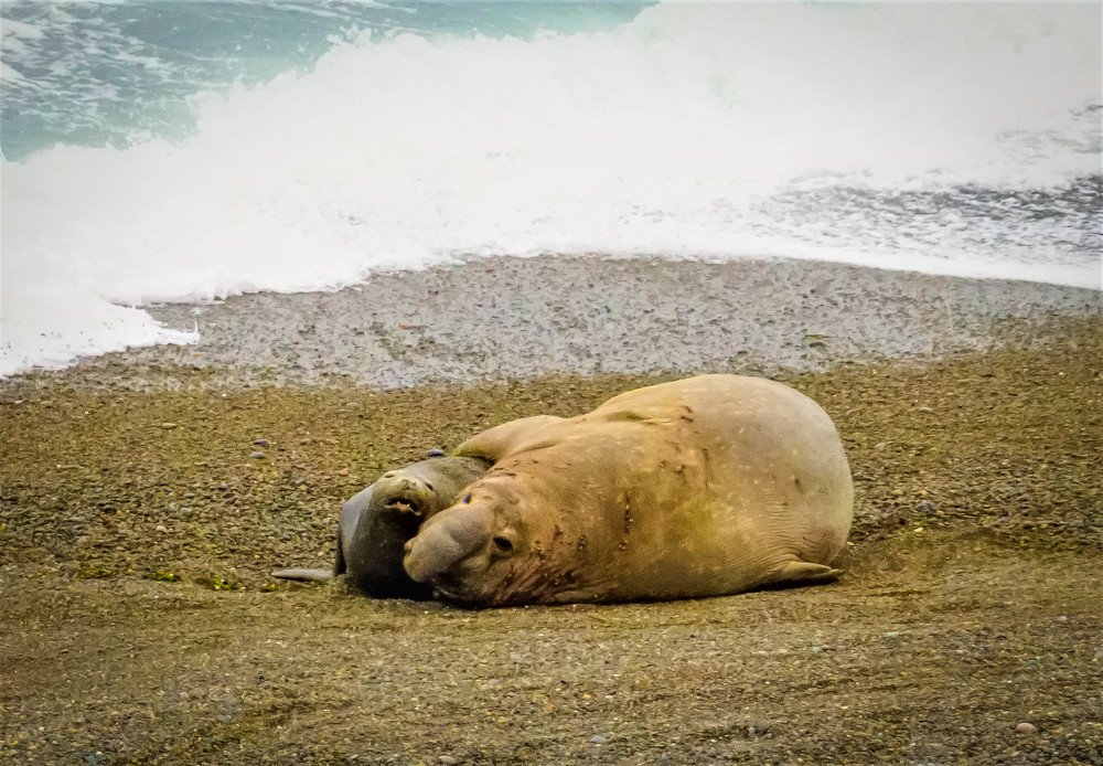 Photograph by Karina Elena Bergagna