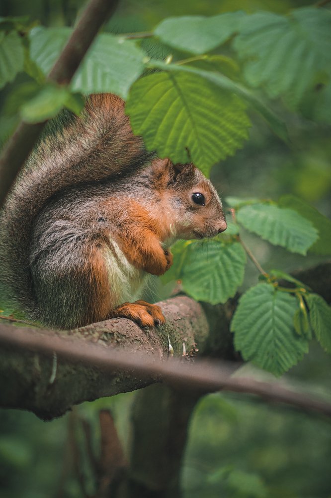 Обнимая себя