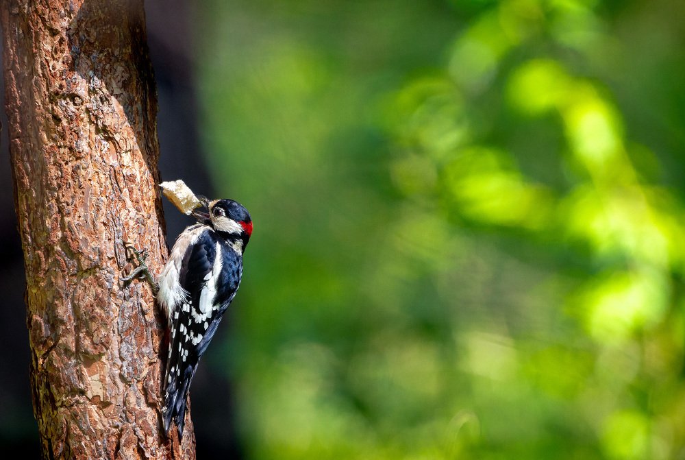 Photograph by Алексей Егорычев