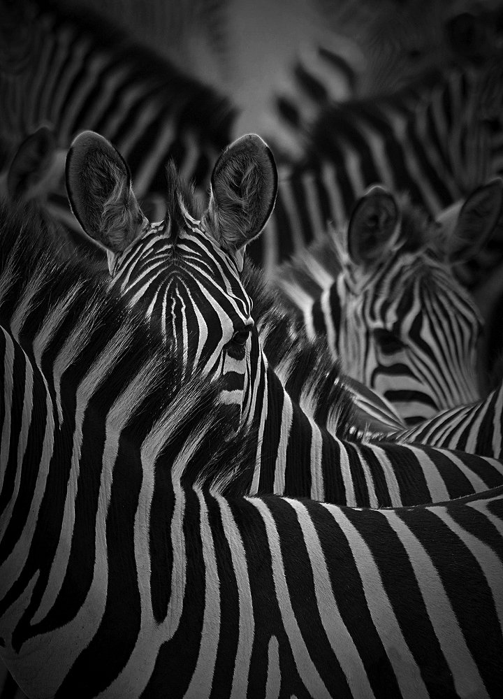 Photograph by Andre Kruger