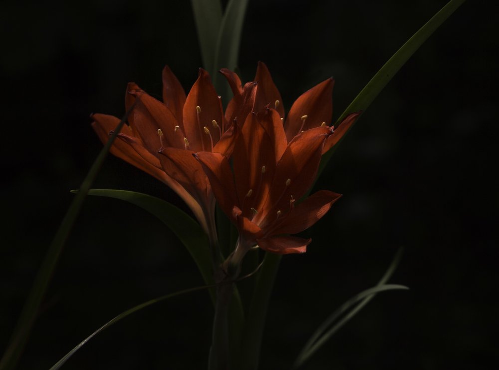 Фотография автора Анна Вигера